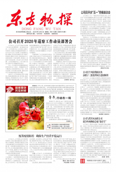 第915期
