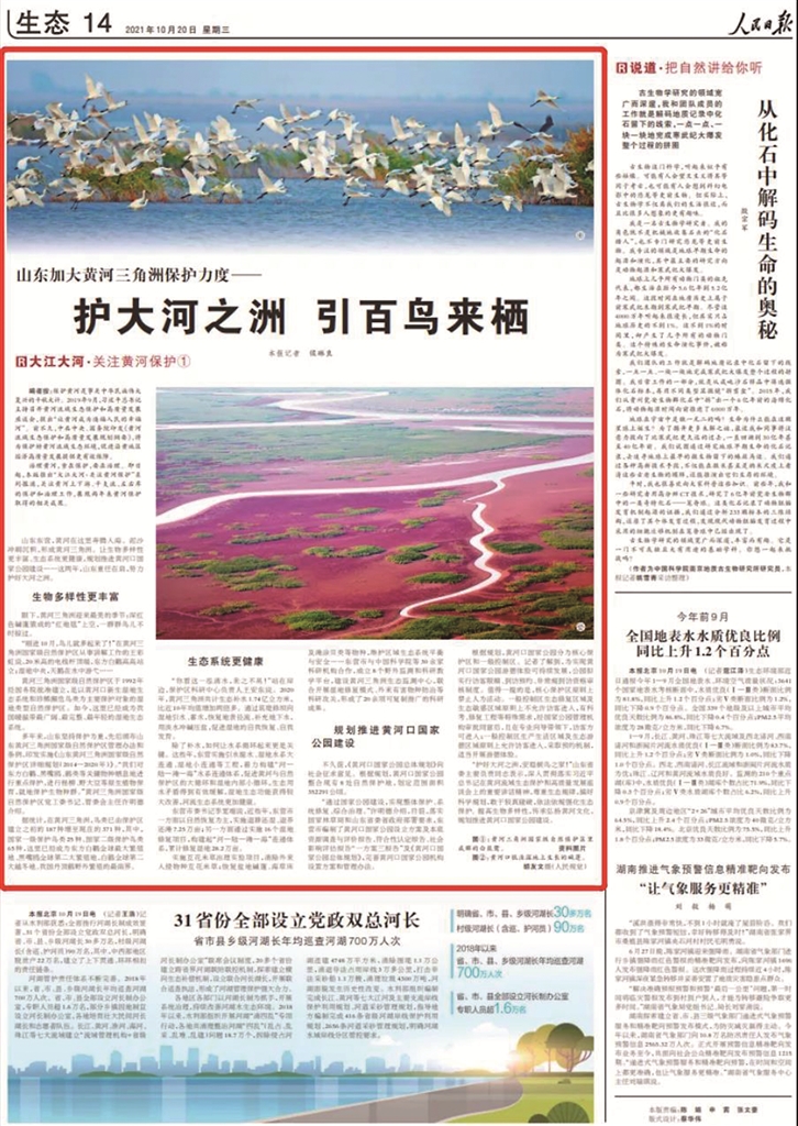 《人民日报》赞美黄河三角洲