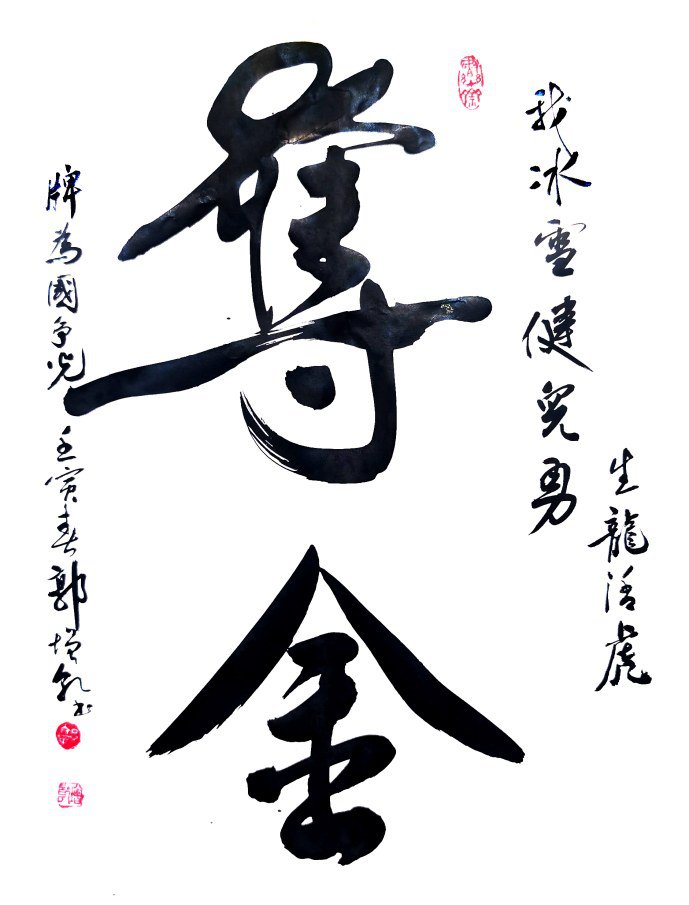 夺金
同筑冰雪梦 一起向未来