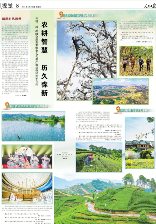 人民日报上的视觉版·2025年6月份合辑