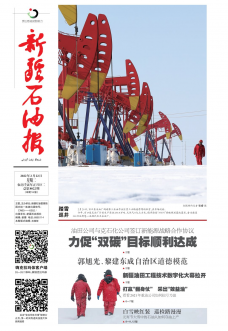 第8022期