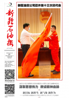 第8037期